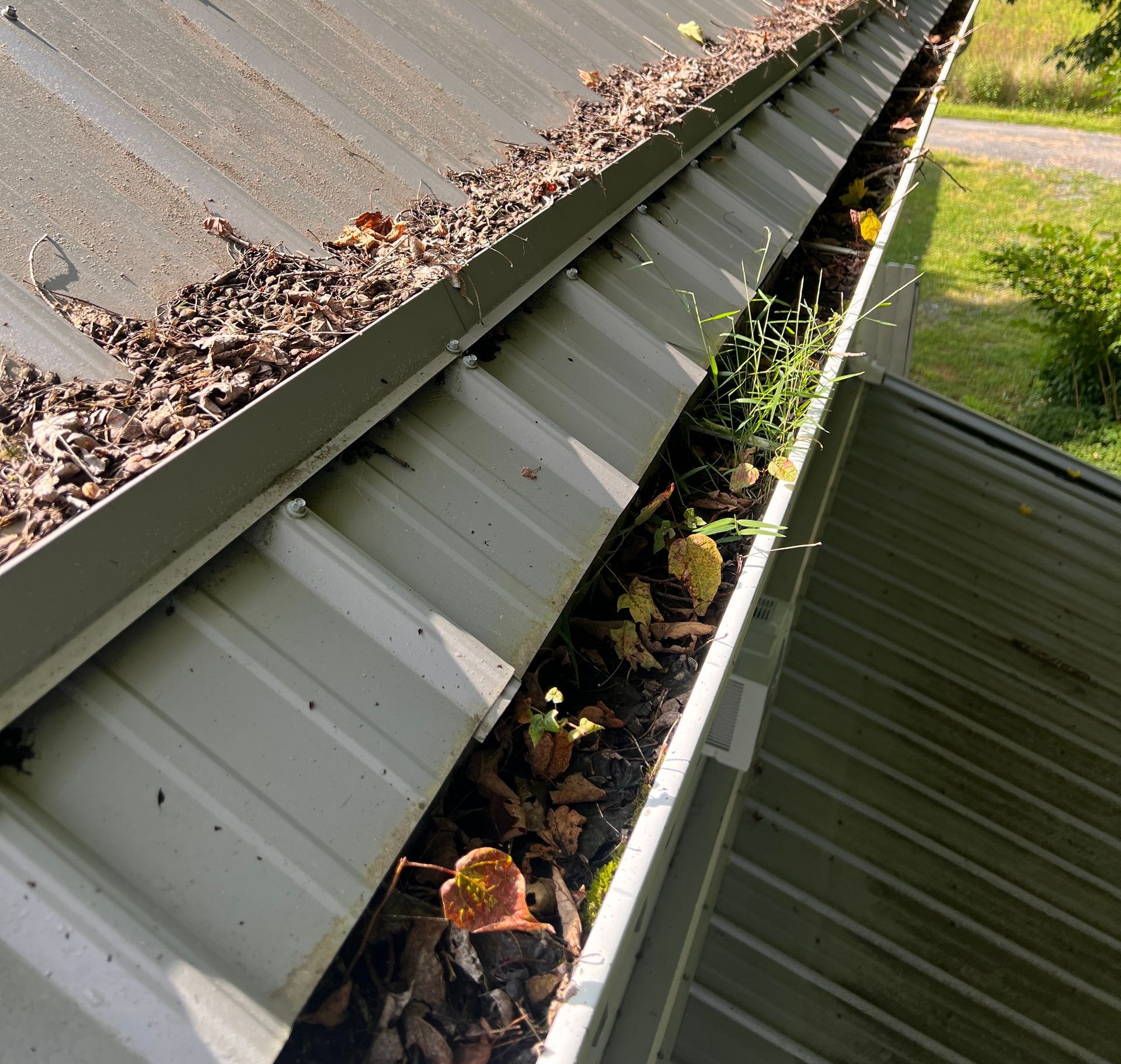 Gutter Cleaning